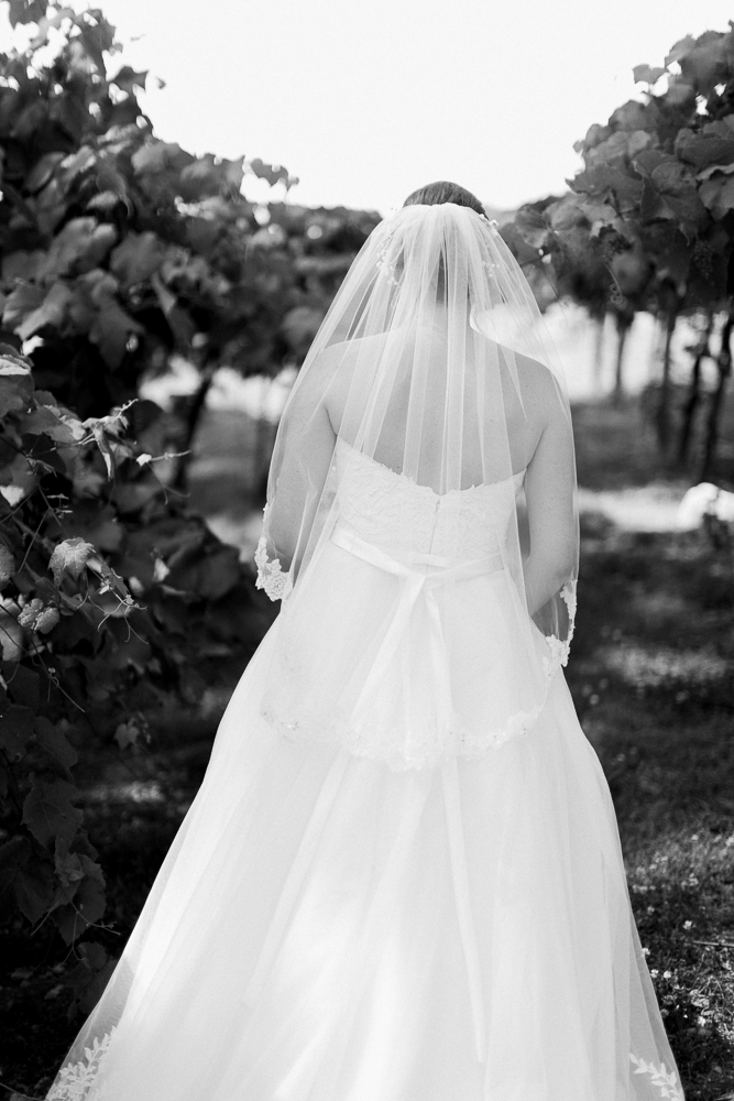 debarge_wedding_photography_cinderella_jesse_mackenzie-51