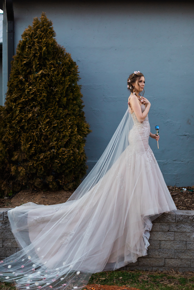 Chattanooga Wedding Photography - Cinderella Wedding Co
