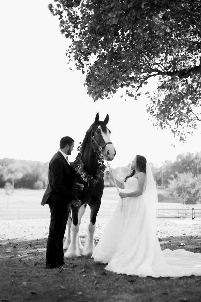 saddle wood farms wedding photography