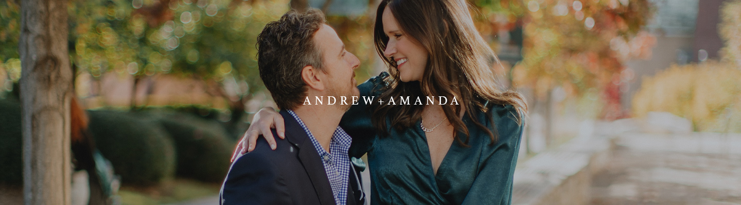 fall engagement photography banner