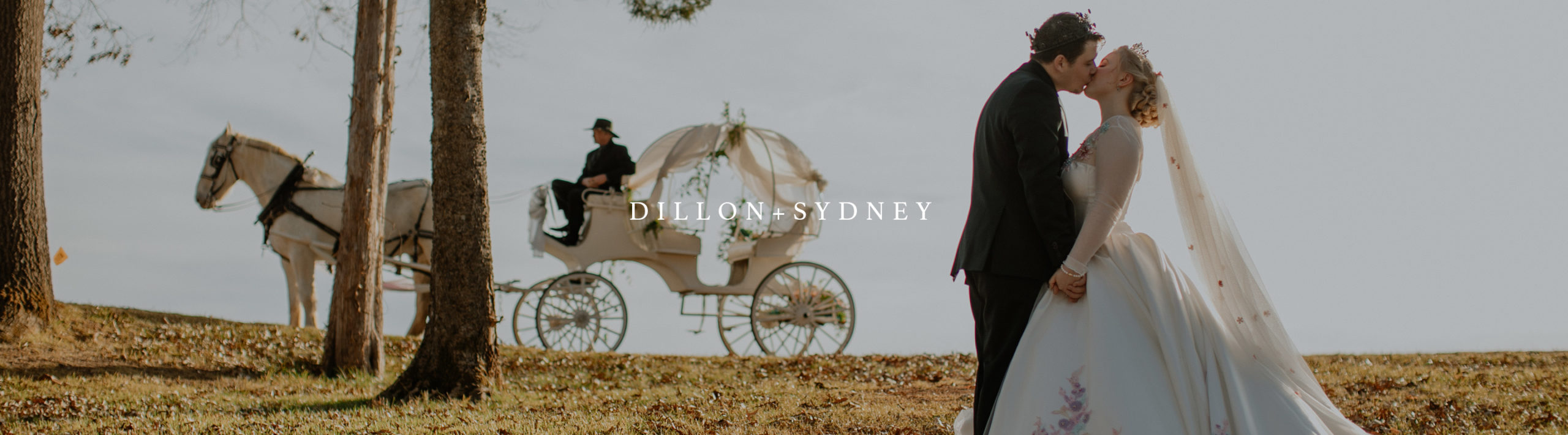 Fairytale Wedding Photography – Franklin, TN – Dillon+Sydney