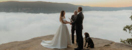 Your Dog as Your Wedding Witness