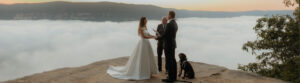 Your Dog as Your Wedding Witness Banner