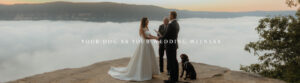 Your Dog as Your Wedding Witness Banner