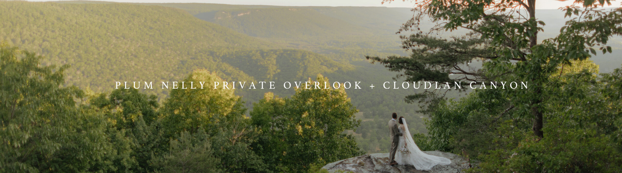 plum nelly private overlook cloudland canyon banner@2x