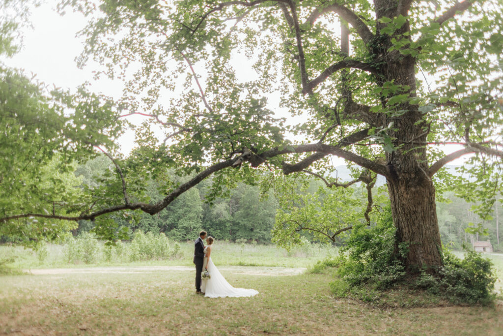 Best Places to Elope In Tennessee - Reflection Riding